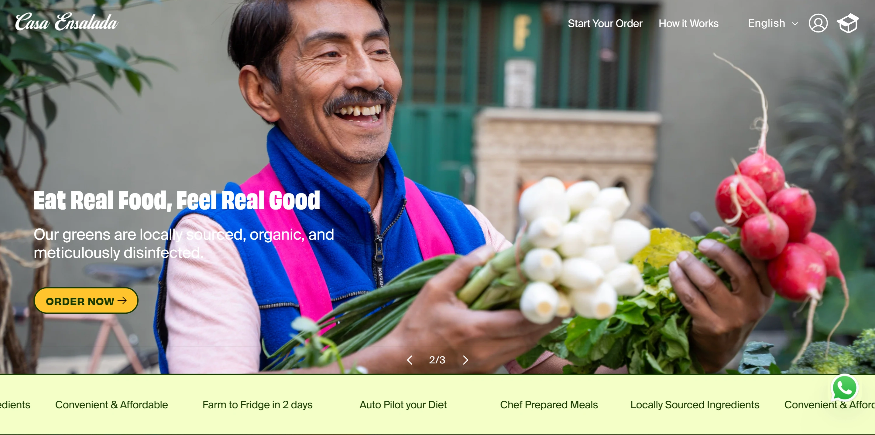 Casa Ensalada restaurant food delivery Shopify website development successful project